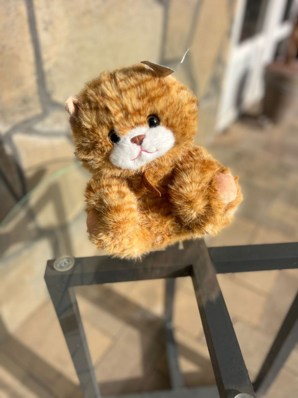 Мягкая игрушка коричневый кот 25/20