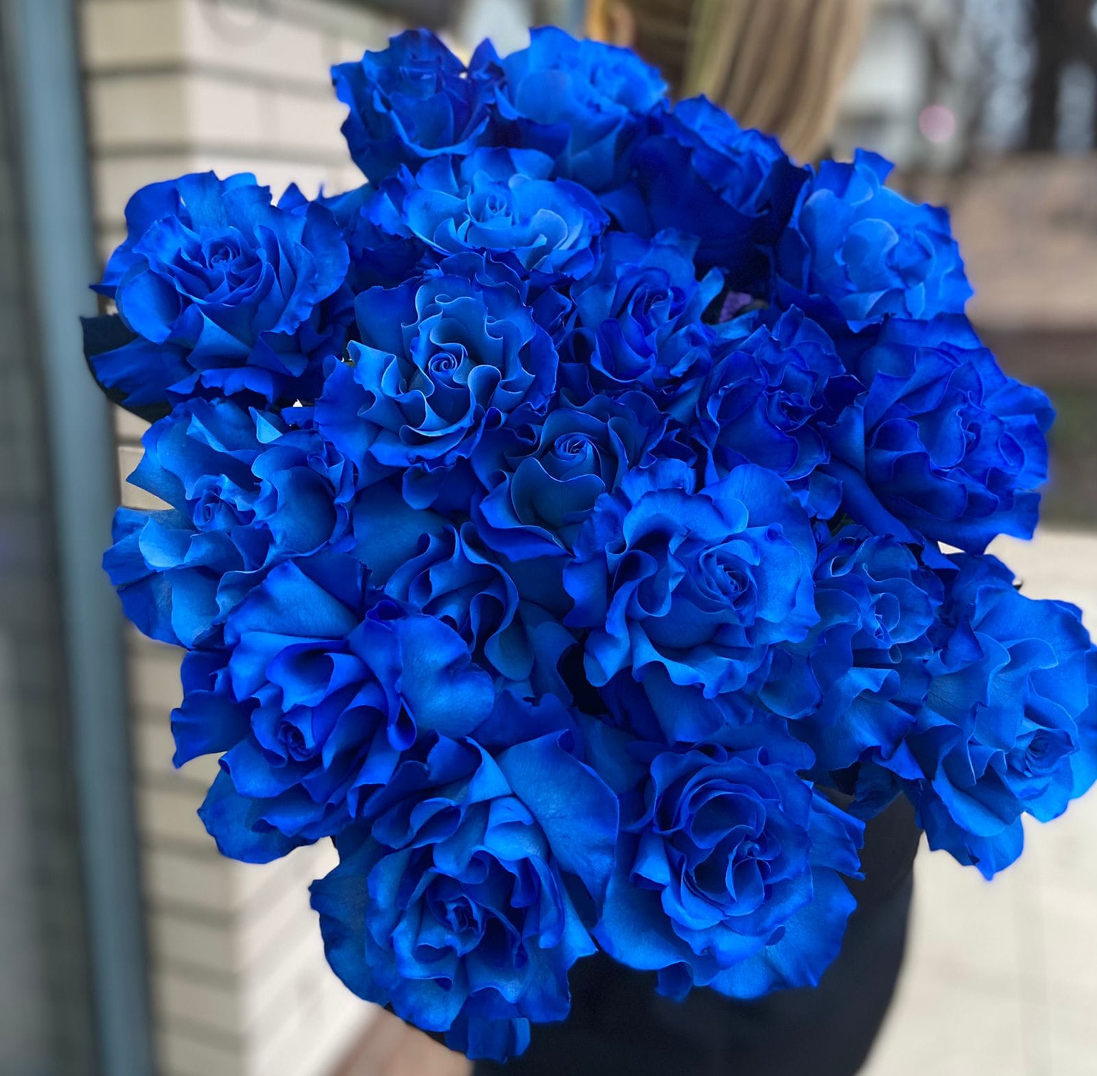 Синие розы "Морской бриз"