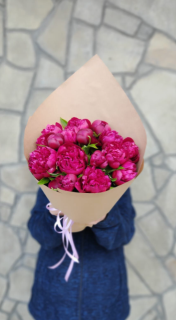 Пионы бордовые 15 штук