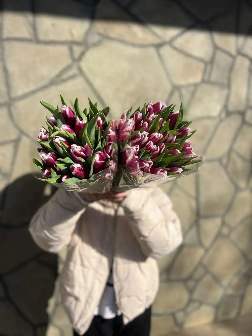 Бело-фиолетовые тюльпаны (от 11 штук)
