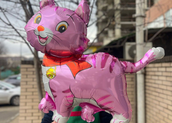 Шар кошка