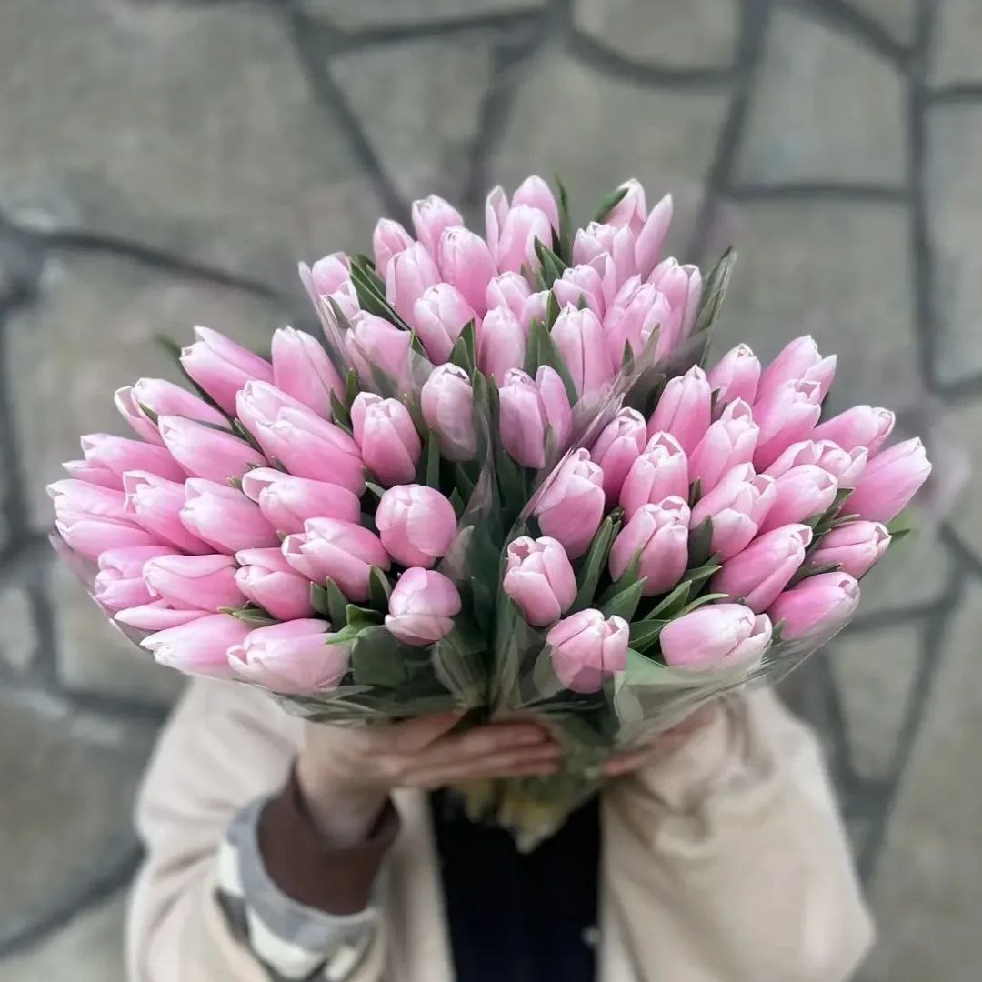 Розовые тюльпаны (от 11 штук)