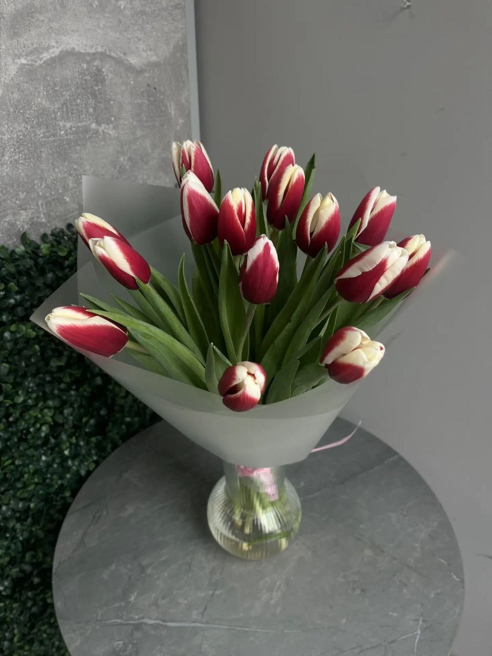 Букет из 15 бело-красных тюльпанов