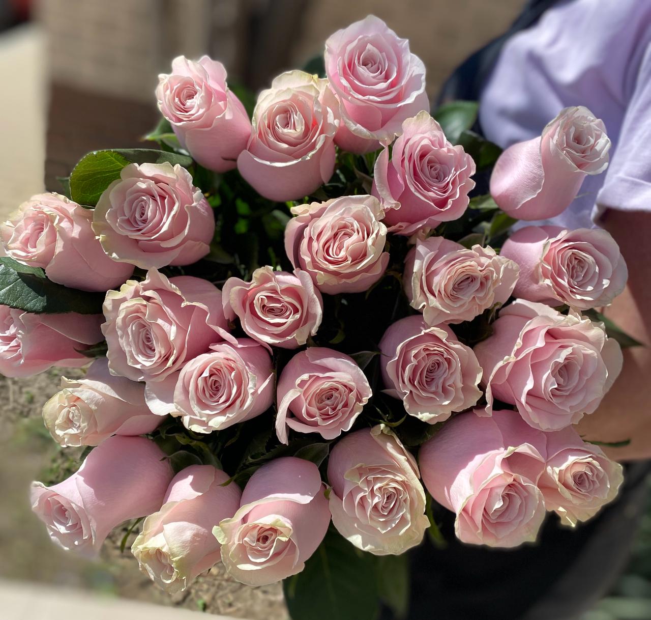 Голландские розы нежно-розовые штучно