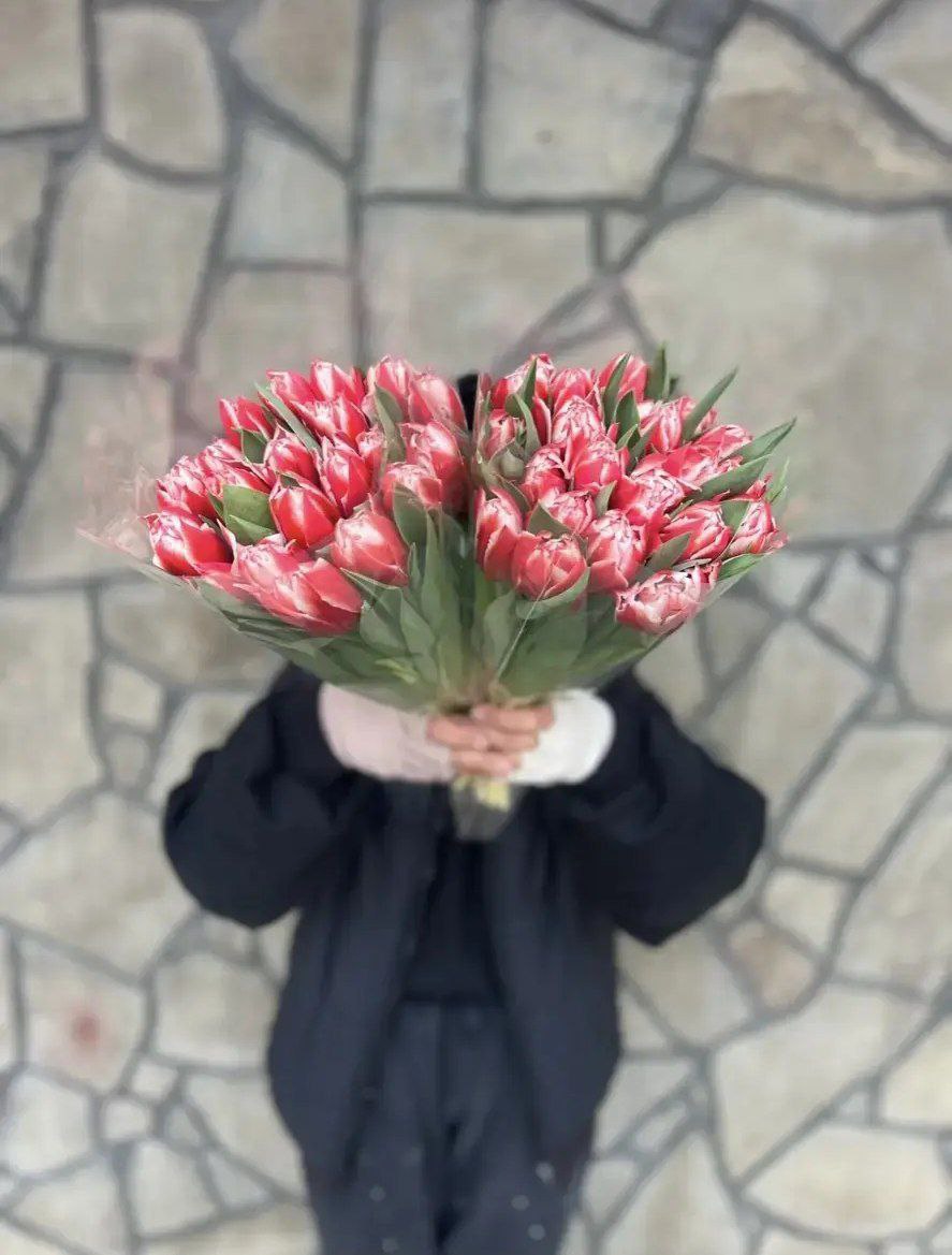 Бело-красные тюльпаны (от 11 штук)