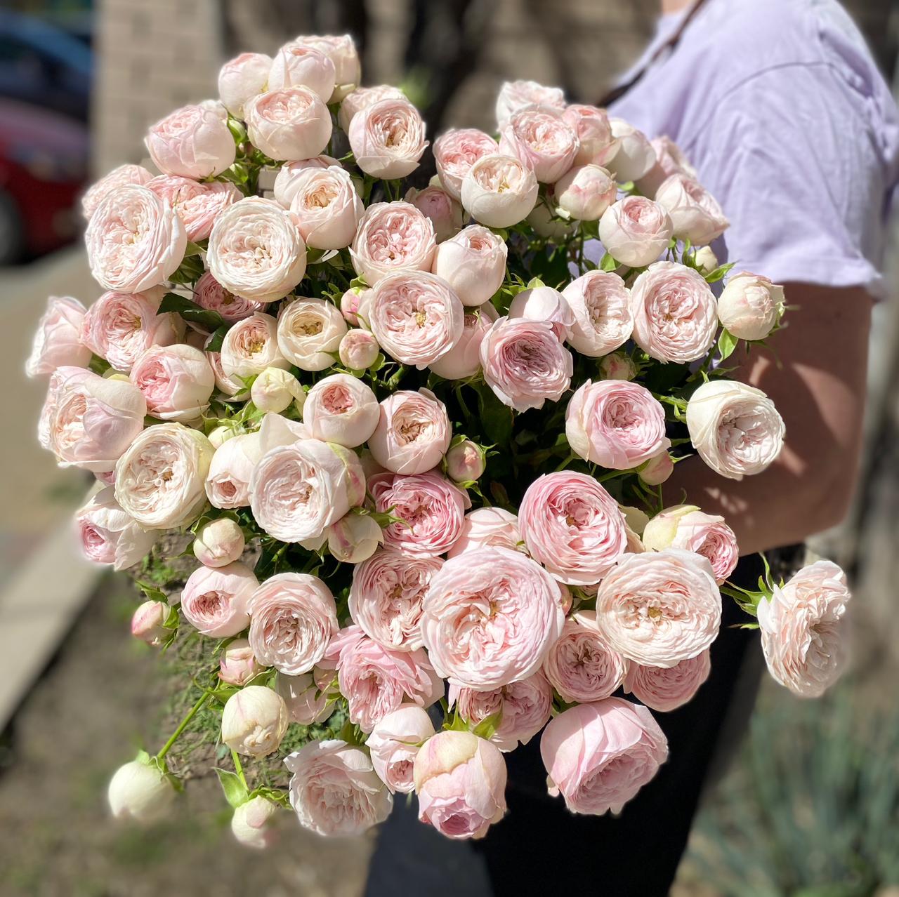 Кустовые розы нежно-розовые пионовидные штучно